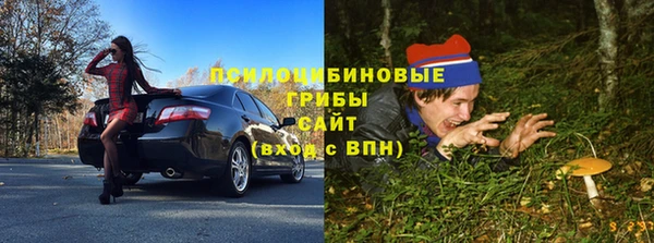 крисы Беломорск